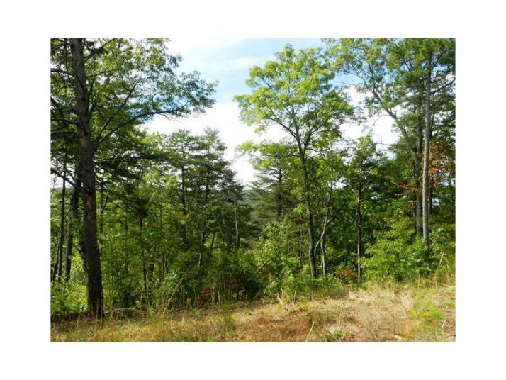 0 Lot 7 Robert Drive, Ellijay, GA 30540