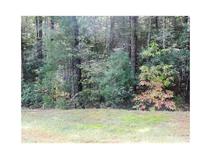 0 Lot 13 Francis Drive, Ellijay, GA 30540