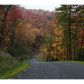 31 Utana Bluffs Trail, Ellijay, GA 30540 ID:4764783