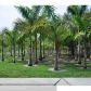 6770 NW 84TH AVE, Pompano Beach, FL 33067 ID:1343170