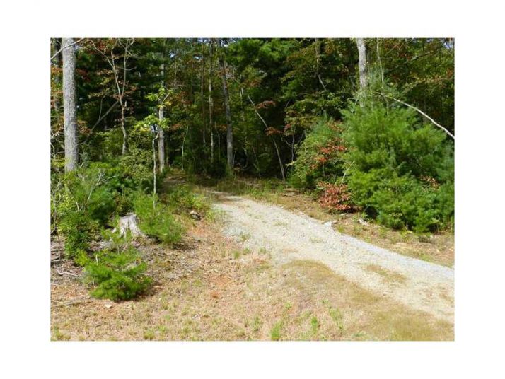 0 Lot 4 Robert Drive, Ellijay, GA 30540