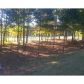 1032 Landon Drive, Villa Rica, GA 30180 ID:4230757