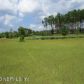 6335 Highway 17 S, Green Cove Springs, FL 32043 ID:653315