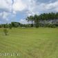 6335 Highway 17 S, Green Cove Springs, FL 32043 ID:653317