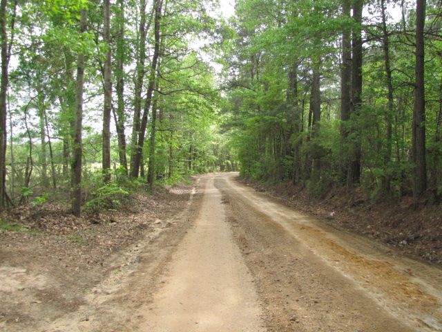 Red Cut Hill Tract 2, Leesville, LA 71446