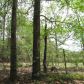 Red Cut Hill Tract 2, Leesville, LA 71446 ID:3096201