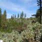 19840 Cherokee Trail, Groveland, CA 95321 ID:3827141