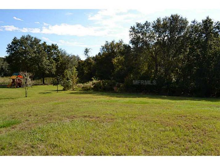 19705 WILD WATER CV, Lutz, FL 33559