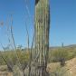 0 S EVERETT BOWMAN Road, Wickenburg, AZ 85390 ID:1584430