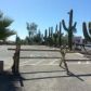 169 E WICKENBURG Way, Wickenburg, AZ 85390 ID:1582441