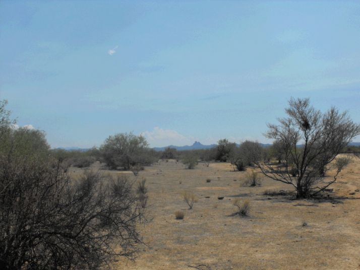 153.5 W ACRES Road, Wickenburg, AZ 85390