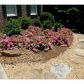 1605 Winding Creek Circle, Snellville, GA 30078 ID:6017204