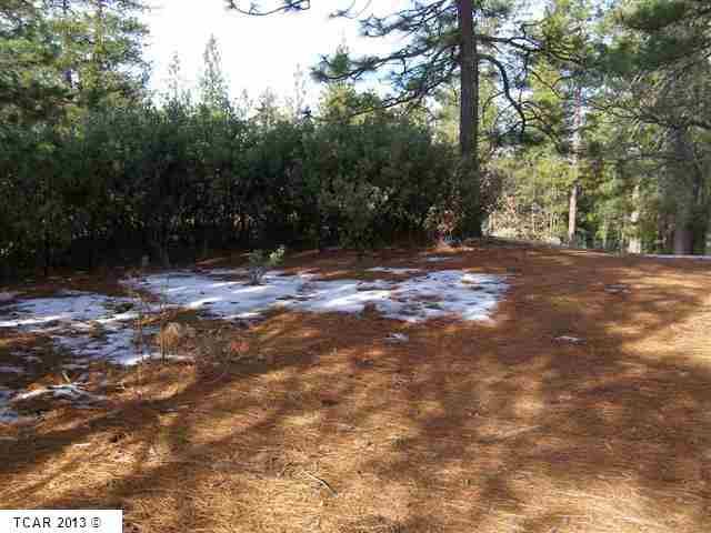 00000 Merrill Rd., Groveland, CA 95321