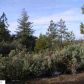 00000 Merrill Rd., Groveland, CA 95321 ID:3827164