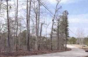 0 Tract 2 Barbette Street, Temple, GA 30179