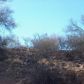 1.59AC N Yucca Drive, Wickenburg, AZ 85390 ID:1583059