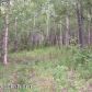 2182 S Cotten, Wasilla, AK 99654 ID:3958045