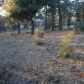 2707 Salton Vista Dr, Julian, CA 92036 ID:83567