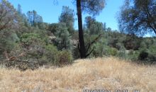 4232 Burl Drive Mariposa, CA 95338