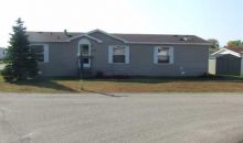 1152 Pinetree Martin, MI 49070