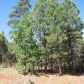 5971 E Starlight Ridge Road, Lakeside, AZ 85929 ID:3225523