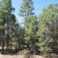 5971 E Starlight Ridge Road, Lakeside, AZ 85929 ID:3225524