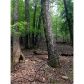 6320 Valley View Drive, Jasper, GA 30143 ID:3135708