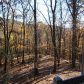 343 Hickory Trail, Jasper, GA 30143 ID:3444129