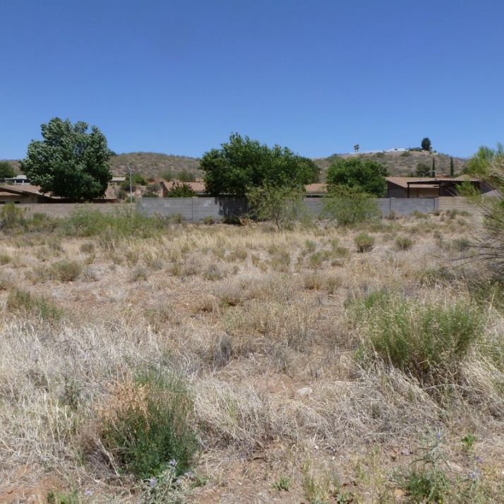 Picacho LOT 88, Globe, AZ 85501