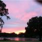 3831 LAKE PADGETT DR, Land O Lakes, FL 34639 ID:1058315