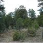 3487 Roundup Circle, Heber, AZ 85928 ID:3226385