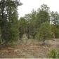 3487 Roundup Circle, Heber, AZ 85928 ID:3226388