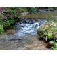 0 Black Ankle Creek Road, Blue Ridge, GA 30513 ID:2588512