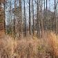 Hwy 61 South, 52.06 Acres, Villa Rica, GA 30180 ID:914749