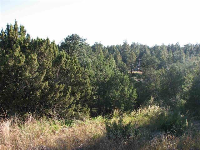 1975 Bradley Lane, Heber, AZ 85928