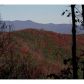 48 Utana Bluffs Trail, Ellijay, GA 30540 ID:5933572