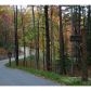 48 Utana Bluffs Trail, Ellijay, GA 30540 ID:5933573