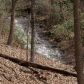 4 Monument Falls Road, Jasper, GA 30143 ID:5959671