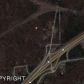 26520 Eklutna Village Road, Chugiak, AK 99567 ID:1493016