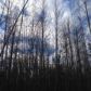 26520 Eklutna Village Road, Chugiak, AK 99567 ID:1493022