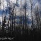 26520 Eklutna Village Road, Chugiak, AK 99567 ID:1493023