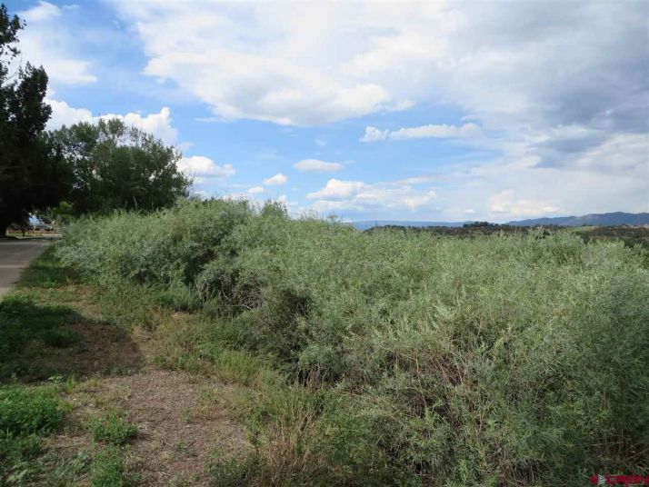 TBD CR 320A, Ignacio, CO 81137