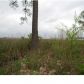 2993 N 1st Ave, Milton, FL 32583 ID:4061389