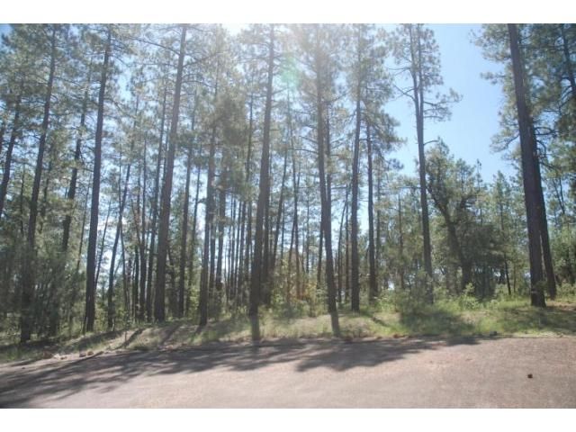 Lot 40 Hunter Creek Ranch, Payson, AZ 85541