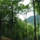 5 Wilderness Way, Ellijay, GA 30540 ID:2956022