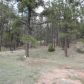 4C E. Running Elk Rd., Payson, AZ 85541 ID:1932012