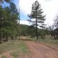 4C E. Running Elk Rd., Payson, AZ 85541 ID:1932015