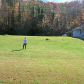 766 Appalachian Highway, Blue Ridge, GA 30513 ID:2639861