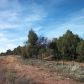 Lot 18B Hwy 260, Payson, AZ 85541 ID:1932775