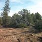 Lot 18B Hwy 260, Payson, AZ 85541 ID:1932781